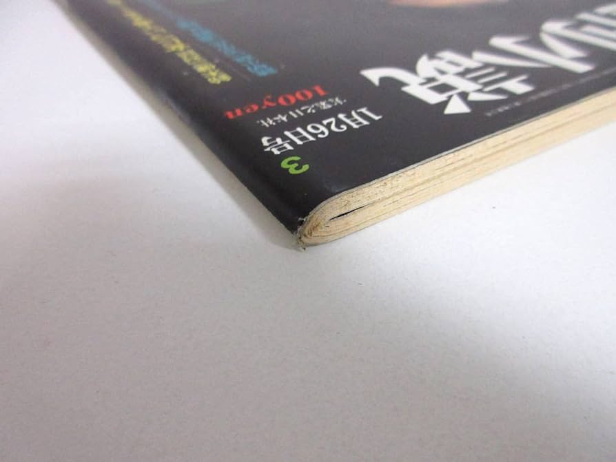 週刊小説 昭和48年 1月26日号 表紙 山添多佳子 実業之日本社 RY150